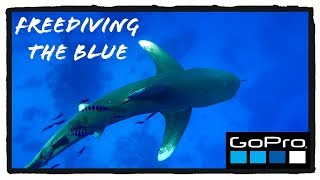 Freediving The Blue | Red Sea