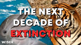 The Next Decade of Animal Extinction