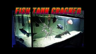 Fish Tank Craked