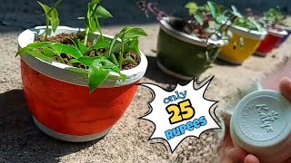 സംഭവം simple ആട്ടോ..| easy flower pot making video malayalam |flower pot making. #WHITEBoxmalayalam