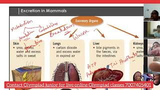 Class 6 National Science Olympiad - live Class  | #NSO #sof @OlympiadJunior