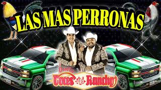 ☆Las Más Perronas ☆☆Dueto Voces Del Rancho 💥💥