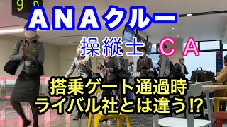 ＡＮＡの対応は！？  ライバル社との違いは！？　CA、機長 ANAクルーが羽田・伊丹での搭乗ゲートを通過する時の様子