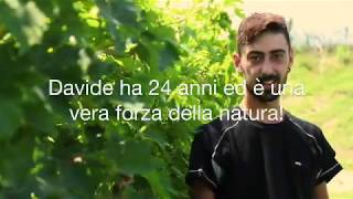 Dietro le nostre bottiglie: Davide, si prende cura dei nostri vigneti