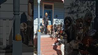 Dogs took over the Michael Myers House 🐕🎃 Halloween day!