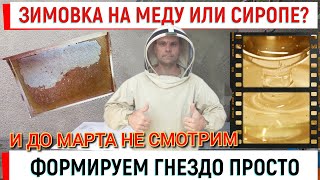 Гнездо на МЕДУ в зиму И до МАРТА не смотрим?!