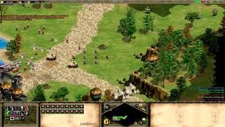 Age of Empires 2 Speedrun - Agincourt (1:35)