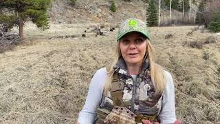 Meet Montana based Artemis ambassador, Sara Camiscioni.