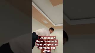 PENAMPAKAN FLAPON MINIMALIS DICAT MEMAKAI CAT JOTUN