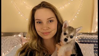 ASMR Arya ♥ Puppy Love and Petting