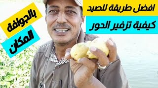 افضل طريقة لتطعيم الجوافه. وكيفية تزفير الدور (المكان)