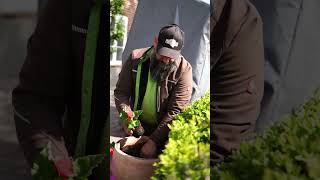 Gartenarbeit bei gutem Wetter I Gartenträume Momsen