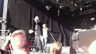 Sean Strange, Odoub, DJ Illegal - Repulsive Enjoyment (LIVE @ Royal Arena Festival 2011)