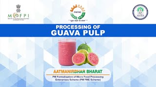 Demonstration Video on Guava Pulp (under PMFME Scheme) - Hindi