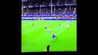 Naismith Amazing goal HD Everton‬ 3-1 ‪Chelsea‬