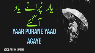 Best Sraiki Poetry Assi Hashmi Peyar Te Vek Gaye, Voice RJ Shari  Best Whatsap Status 2022