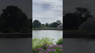 ЛОНДОН ЖИЗНЬ В АНГЛИИ КУДА ПОЙТИ В ЛОНДОНЕ? #shorts #kewgardens