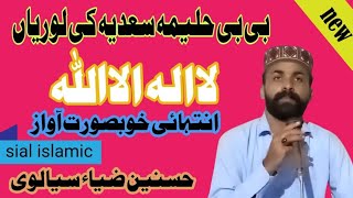 Bibi Halema saydya ki loryan |intehai Khoobsurat aawaz | Hasnain Zia sialvi | Sial islamic