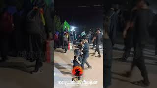 HUSSAINI CHILDREN SERVING THE ZAWARS OF IMAM HUSSAIN A.S IN KARBALA | ARBAEEN 2024 #karbala