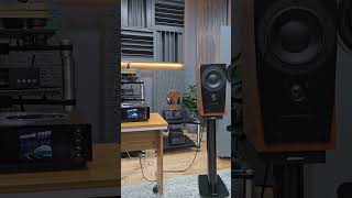 Naim Nova y Dynaudio