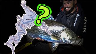 How I break down a lake - Barramundi style