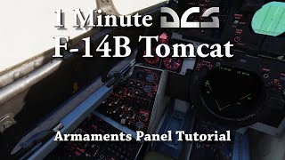 1 Minute DCS - F-14B Tomcat  - Armaments Panel Tutorial