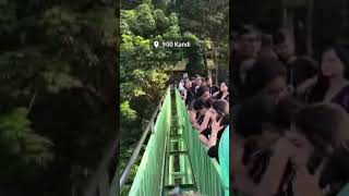 900 Kandi Glass Bridge #wayanad #900kandihills