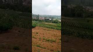 #gunung #pegunungan #shorts #viral #viralvideo #viralshorts #trending #trendingshorts