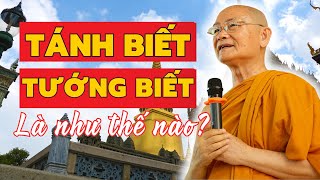 Vì Sao Cần Nhìn Rõ Và Thấu Hiểu TÁNH BIẾT Và TƯỚNG BIẾT? | HT Viên Minh Giảng (Không Nghe Tiếc Lắm)