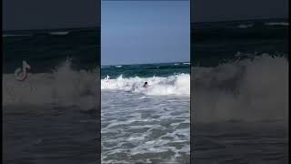 Surfing season again🌊🏄‍♂️#shorts #outdoors #beach #couple #florida #exercise #surf #surfing #fun