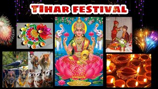 Tihar festival | The story of Tihar | Festival of lights