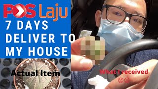 Succulent Plant, By Courier Service To My Place - Euphorbia obesa ,with Subtitle內有中文字幕