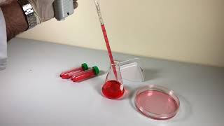 SCILOGEX SCI-Fill Pipette Filler