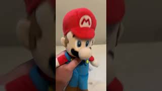 Mario stopped a bully