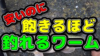 安くてバカ釣れすぎるのにあまり知られていないワーム