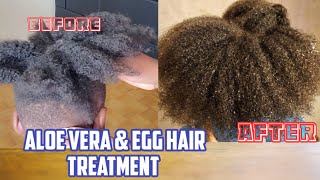 Aloe Vera & Egg Hair Treatment | Natural Ingredients | Kids Natural Hair Journey