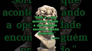 Seja você, o responsável pela própria sorte.#investimentos #seneca #sêneca #liberdade #sorte