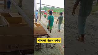 Crazy Cow 2024 || ২০২৪ সালের কোরবানির হাটের সেরা পাগলা গরুর পাগলামি 🔥#shorts #short #shortvideos