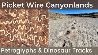 DINOSAUR TRACKS and PETROGLYPHS - Colorado's Picket Wire Canyonlands