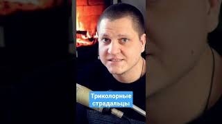 Триколорные страдальцы) #shorts #россия #russia