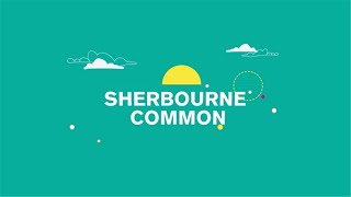 Sherbourne Common: Shining a Light on Stormwater