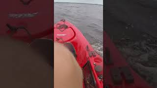 Hobie Fishing Kayak In Rough Toledo Bend Water