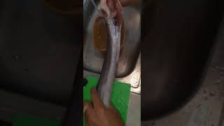 Eel Cooking