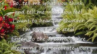 Celebrate You by Steven Curtis Chapman