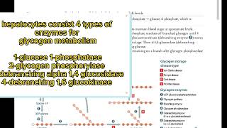 glycogen metabolism page 84|first aid USMLE|fcps part-1 preparation forum|cpsp favorite BCQUES