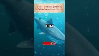 The Timeless Journey of the Greenland Shark #shortvideo #facts