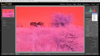 Setting White Balance on Infrared Images with Lightroom