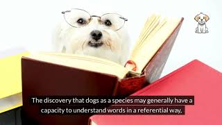 Understanding How Dogs Recognize Words for Objects