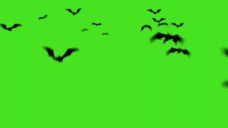 Haunted Horror Green Screen Video | #greenscreen #chromekey#green_screen_effects