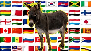 Donkey name from different countries